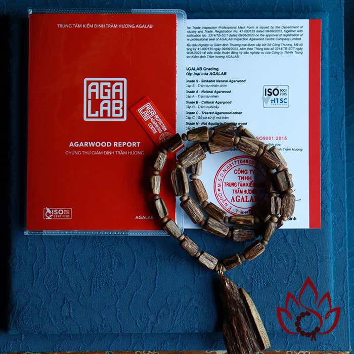 Dây Chuyền Trầm Hương Hạt Trúc Thô | Trầm Kiến Tự Nhiên Lâu Năm